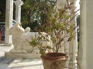 p1110082