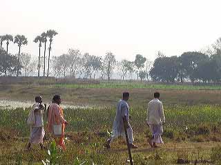 nasigram-30