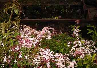 IMAGE 040501_nightinsoquel205.jpg
