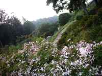 IMAGE 040501_nightinsoquel211.jpg