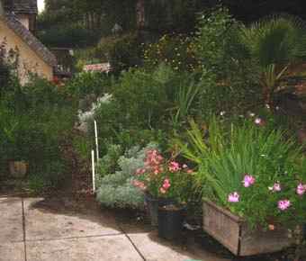 IMAGE 040501_nightinsoquel212.jpg
