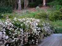 IMAGE 040501_nightinsoquel214.jpg
