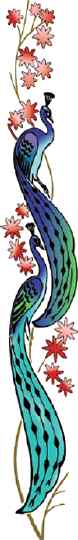 IMAGE 040501_nightinsoquel217.jpg