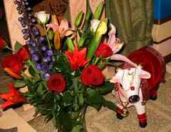 IMAGE 040501_nightinsoquel218.jpg