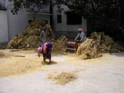 060507-Nabadwip-16