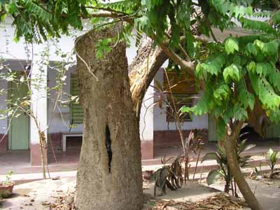 060507-Nabadwip-03