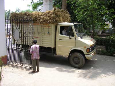 Nabadwip-16