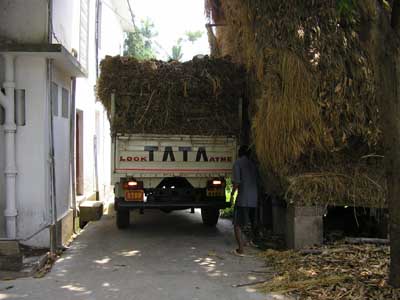 Nabadwip-18