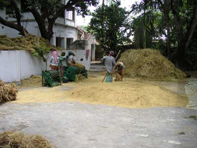Nabadwip-19