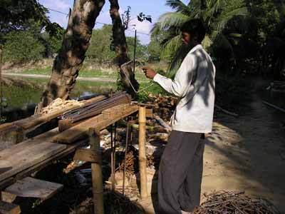 Nabadwip-10