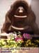060531_veracrus-nrsmhaC02