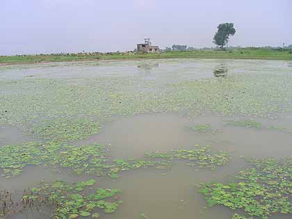 Nabadwip-08