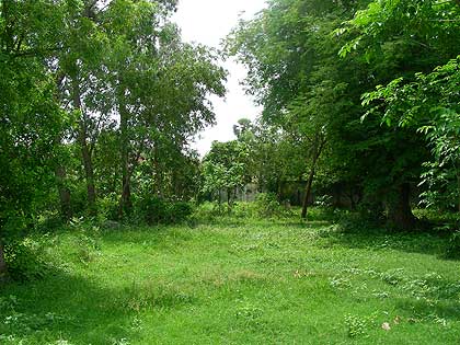 Nabadwip-09