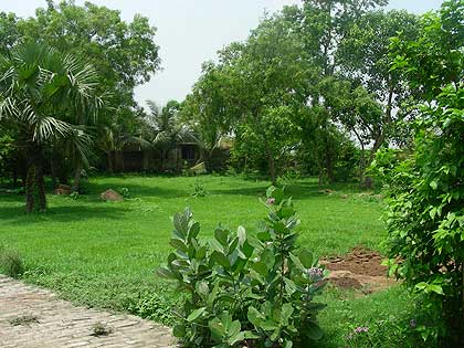 Nabadwip-10