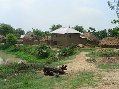 Nabadwip-15