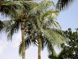 p1010001