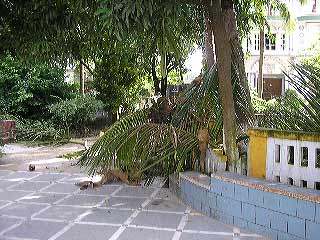 p1010005