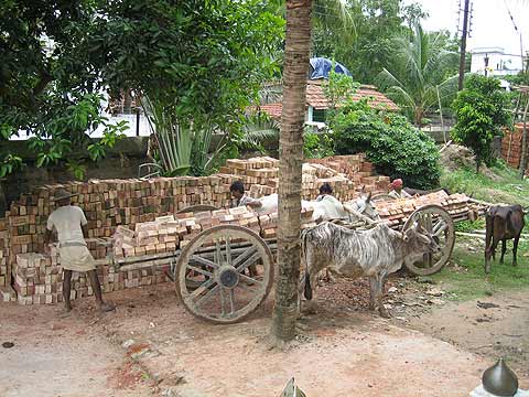 picture_16