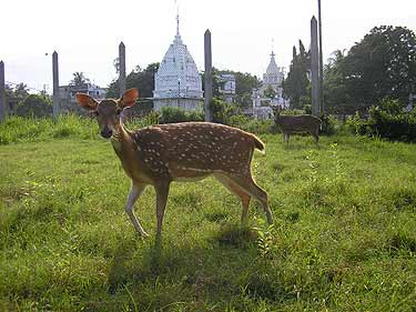 picture_01
