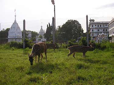 picture_02