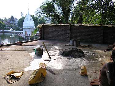 picture_11