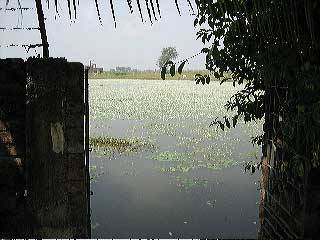 061011_bamunpara_12