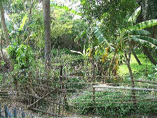 061011_bamunpara_37