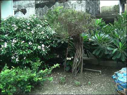picture-09
