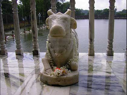 picture-04