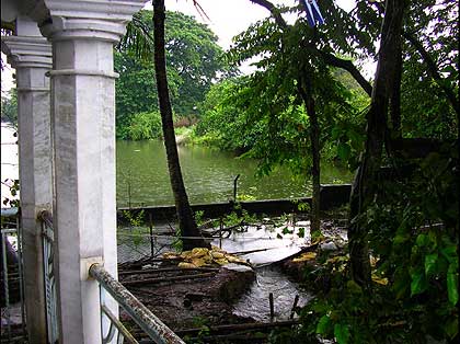 picture-06