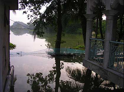 picture-10