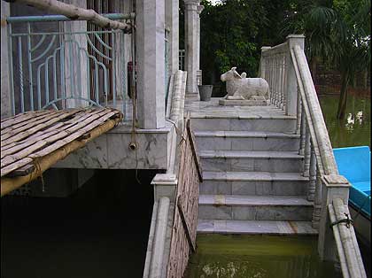 picture-11