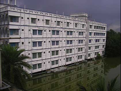 picture-16