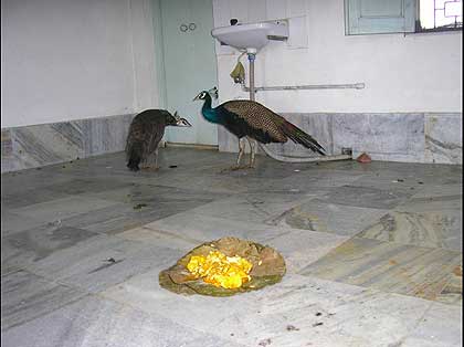 picture-20