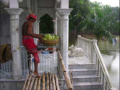 picture-21