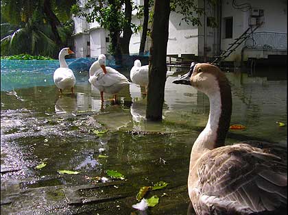 picture-31