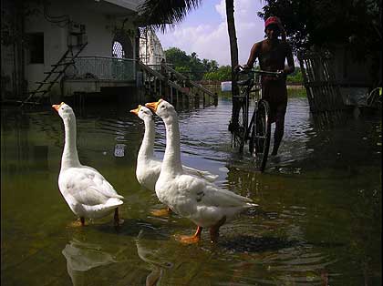 picture-32