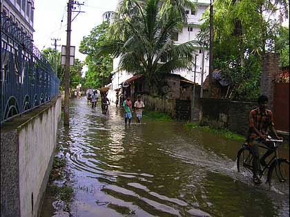 picture-35