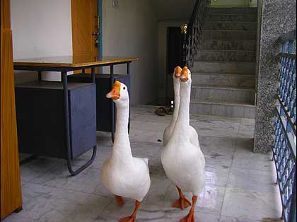 picture-01