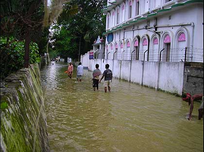 picture-04