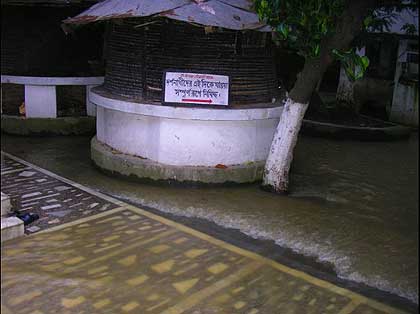 picture-05