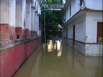 picture-07