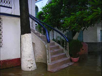 picture-09