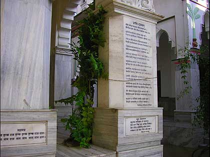 picture-21