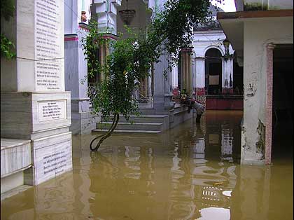 picture-04