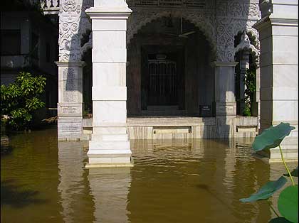picture-11
