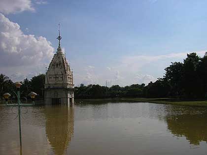 picture-01