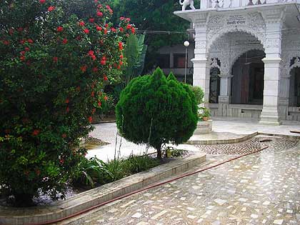 picture-02
