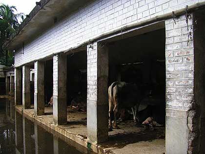 picture-03