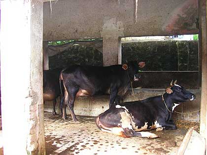 picture-04